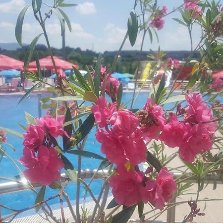 Hotel Aqua Kurdzhali ภายนอก รูปภาพ