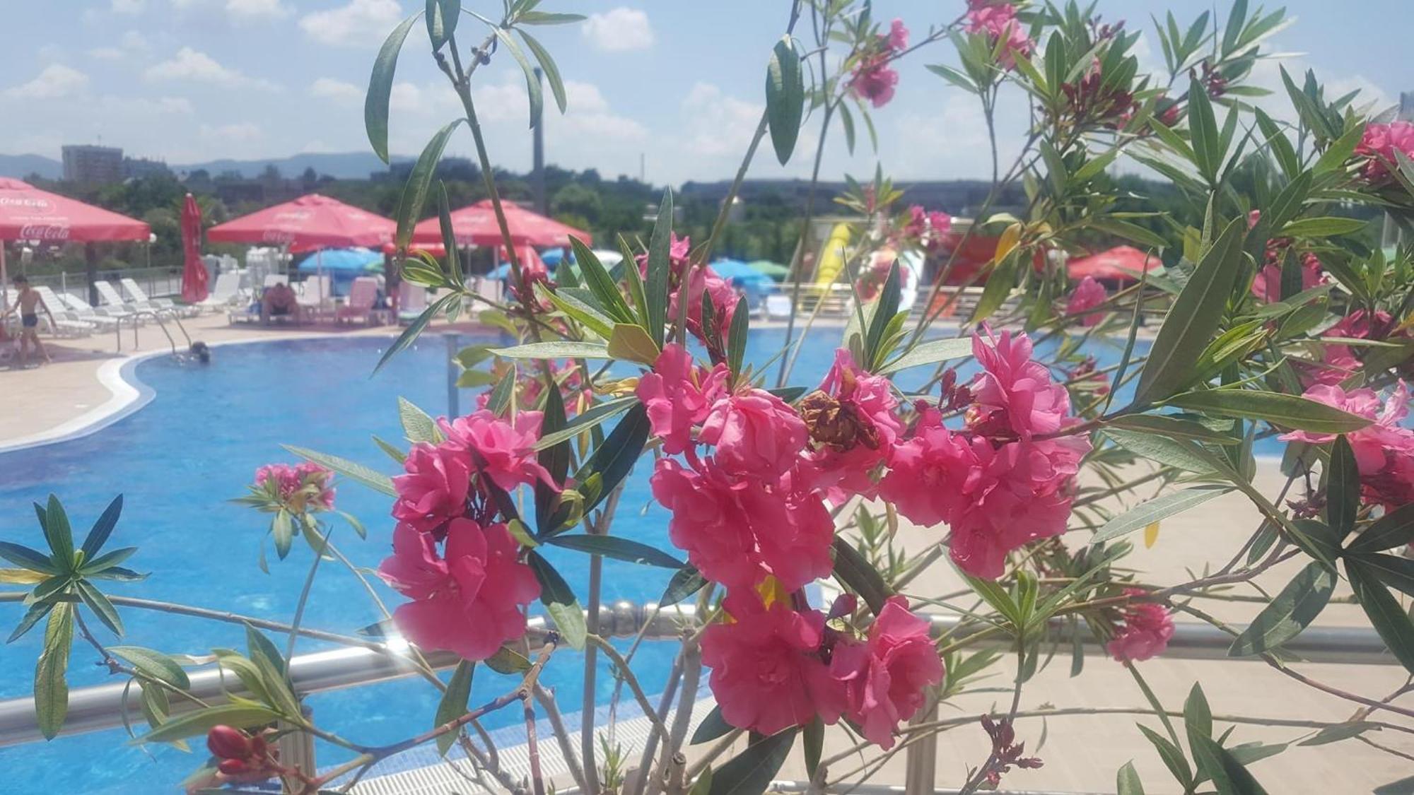 Hotel Aqua Kurdzhali ภายนอก รูปภาพ
